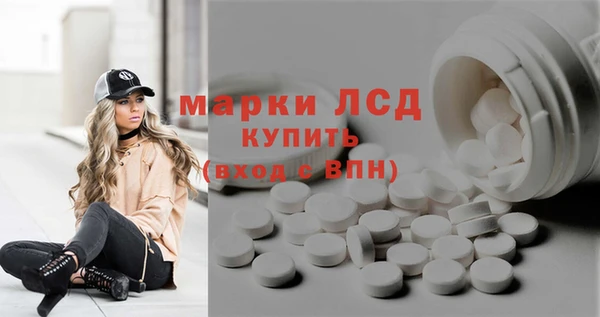 прущие грибы Володарск
