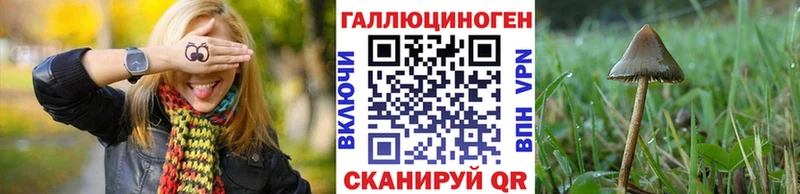 Галлюциногенные грибы мухоморы  Купить где  Кувшиново 